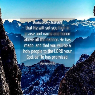Picture 04 - Deuteronomy 26:19 BSB - that He will set you high in praise and name and - Bible Verse Picture
