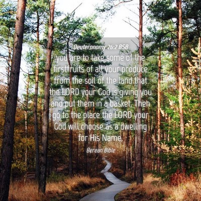 Picture 04 - Deuteronomy 26:2 BSB - you are to take some of the firstfruits of all - Bible Verse Picture