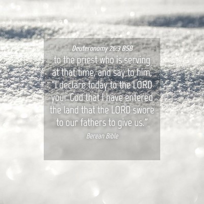 Picture 04 - Deuteronomy 26:3 BSB - to the priest who is serving at that time, and - Bible Verse Picture