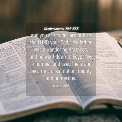 Picture 04 - Deuteronomy 26:5 BSB - and you are to declare before the LORD your God, - Bible Verse Picture