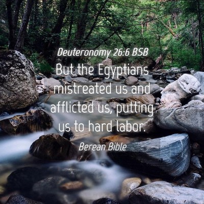 Picture 04 - Deuteronomy 26:6 BSB - But the Egyptians mistreated us and afflicted us, - Bible Verse Picture