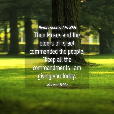 Picture 04 - Deuteronomy 27:1 BSB - Then Moses and the elders of Israel commanded the - Bible Verse Picture