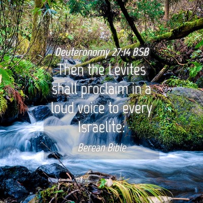 Picture 04 - Deuteronomy 27:14 BSB - Then the Levites shall proclaim in a loud voice - Bible Verse Picture