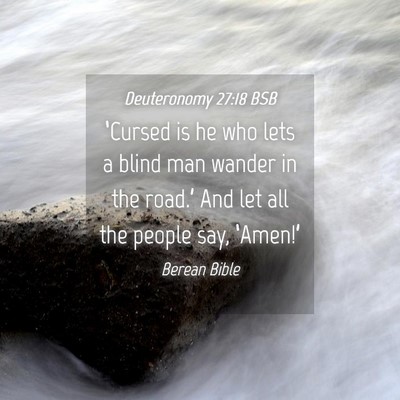 Picture 04 - Deuteronomy 27:18 BSB - ‘Cursed is he who lets a blind man wander in - Bible Verse Picture