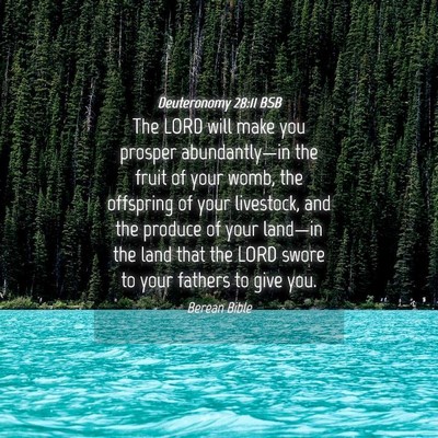 Picture 04 - Deuteronomy 28:11 BSB - The LORD will make you prosper abundantly—in - Bible Verse Picture