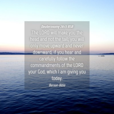 Picture 04 - Deuteronomy 28:13 BSB - The LORD will make you the head and not the tail; - Bible Verse Picture