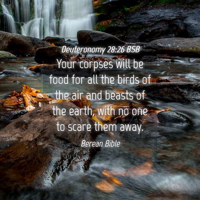 Picture 04 - Deuteronomy 28:26 BSB - Your corpses will be food for all the birds of - Bible Verse Picture