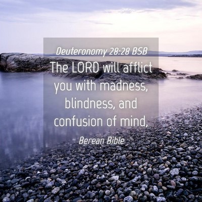 Picture 04 - Deuteronomy 28:28 BSB - The LORD will afflict you with madness, - Bible Verse Picture