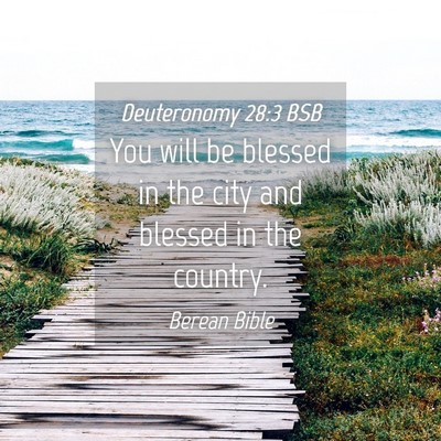 Picture 04 - Deuteronomy 28:3 BSB - You will be blessed in the city and blessed in - Bible Verse Picture