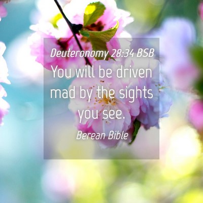 Picture 04 - Deuteronomy 28:34 BSB - You will be driven mad by the sights you - Bible Verse Picture