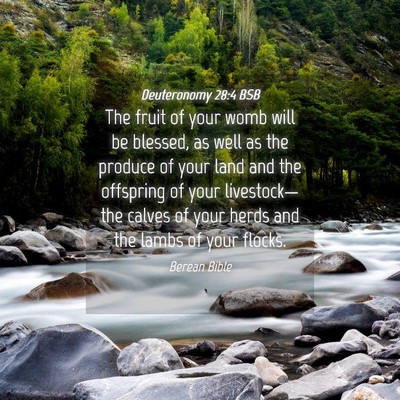 Picture 04 - Deuteronomy 28:4 BSB - The fruit of your womb will be blessed, as well - Bible Verse Picture
