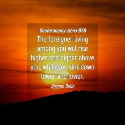 Picture 04 - Deuteronomy 28:43 BSB - The foreigner living among you will rise higher - Bible Verse Picture