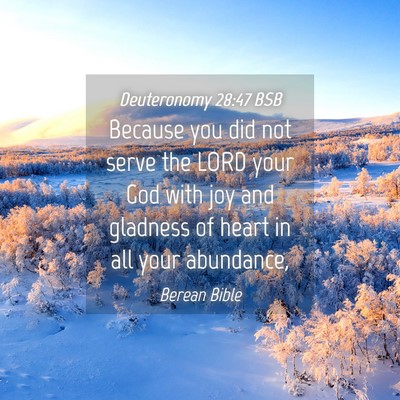 Picture 04 - Deuteronomy 28:47 BSB - Because you did not serve the LORD your God with - Bible Verse Picture