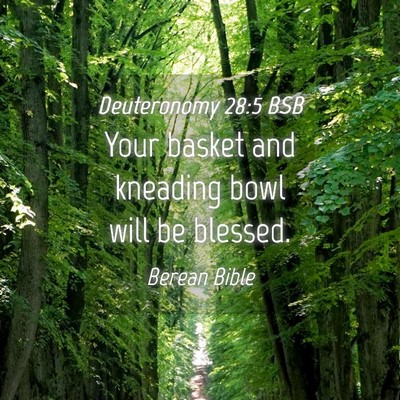 Picture 04 - Deuteronomy 28:5 BSB - Your basket and kneading bowl will be - Bible Verse Picture