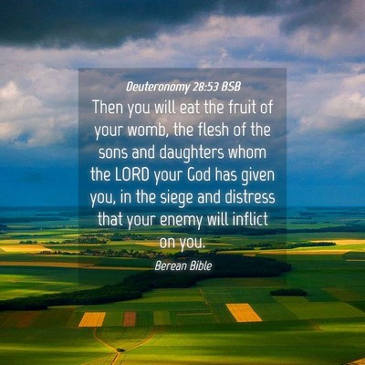 Picture 04 - Deuteronomy 28:53 BSB - Then you will eat the fruit of your womb, the - Bible Verse Picture