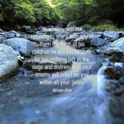 Picture 04 - Deuteronomy 28:55 BSB - refusing to share with any of them the flesh of - Bible Verse Picture