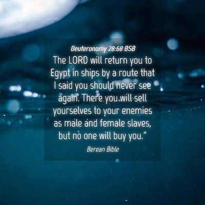 Picture 04 - Deuteronomy 28:68 BSB - The LORD will return you to Egypt in ships by a - Bible Verse Picture