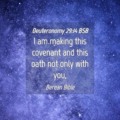 Picture 04 - Deuteronomy 29:14 BSB - I am making this covenant and this oath not only - Bible Verse Picture