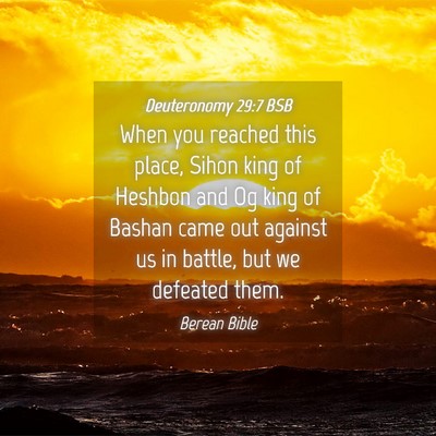 Picture 04 - Deuteronomy 29:7 BSB - When you reached this place, Sihon king of - Bible Verse Picture