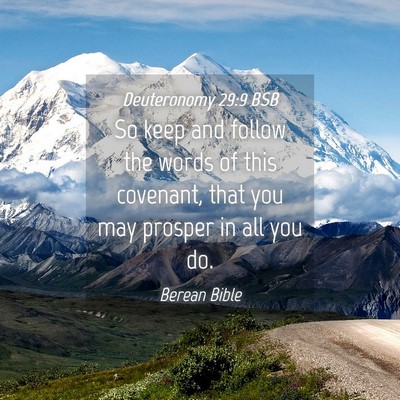 Picture 04 - Deuteronomy 29:9 BSB - So keep and follow the words of this covenant, - Bible Verse Picture