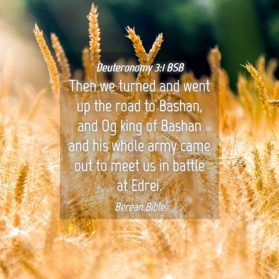 Picture 04 - Deuteronomy 3:1 BSB - Then we turned and went up the road to Bashan, - Bible Verse Picture