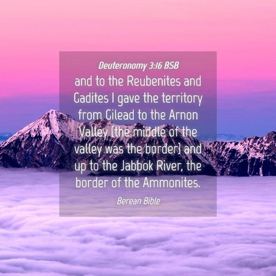 Picture 04 - Deuteronomy 3:16 BSB - and to the Reubenites and Gadites I gave the - Bible Verse Picture