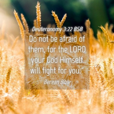 Picture 04 - Deuteronomy 3:22 BSB - Do not be afraid of them, for the LORD your God - Bible Verse Picture