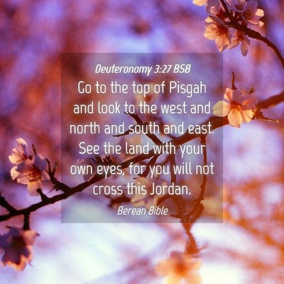 Picture 04 - Deuteronomy 3:27 BSB - Go to the top of Pisgah and look to the west and - Bible Verse Picture