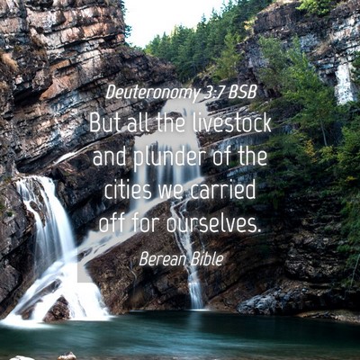 Picture 04 - Deuteronomy 3:7 BSB - But all the livestock and plunder of the cities - Bible Verse Picture