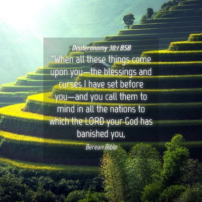 Picture 04 - Deuteronomy 30:1 BSB - “When all these things come upon you—the - Bible Verse Picture
