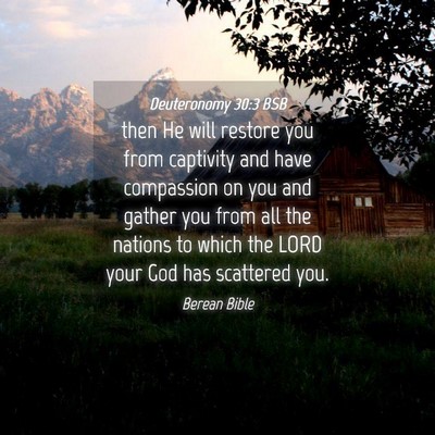 Picture 04 - Deuteronomy 30:3 BSB - then He will restore you from captivity and have - Bible Verse Picture