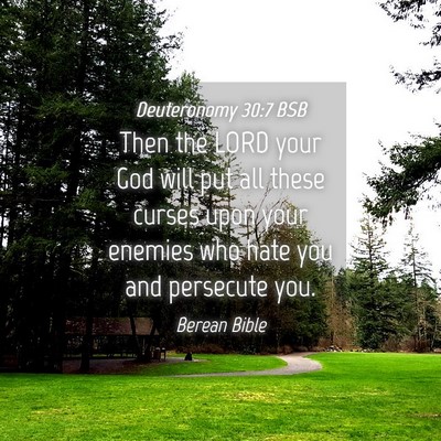 Picture 04 - Deuteronomy 30:7 BSB - Then the LORD your God will put all these curses - Bible Verse Picture