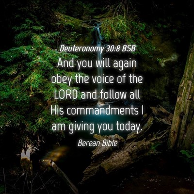 Picture 04 - Deuteronomy 30:8 BSB - And you will again obey the voice of the LORD and - Bible Verse Picture