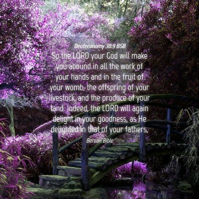 Picture 04 - Deuteronomy 30:9 BSB - So the LORD your God will make you abound in all - Bible Verse Picture