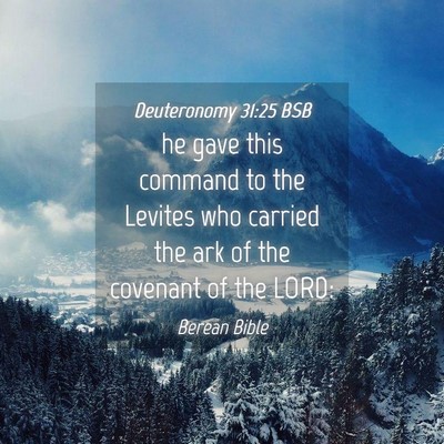 Picture 04 - Deuteronomy 31:25 BSB - he gave this command to the Levites who carried - Bible Verse Picture