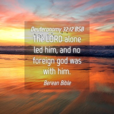 Picture 04 - Deuteronomy 32:12 BSB - The LORD alone led him, and no foreign god was - Bible Verse Picture