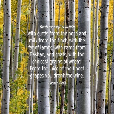 Picture 04 - Deuteronomy 32:14 BSB - with curds from the herd and milk from the flock, - Bible Verse Picture