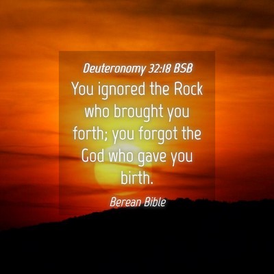 Picture 04 - Deuteronomy 32:18 BSB - You ignored the Rock who brought you forth; you - Bible Verse Picture