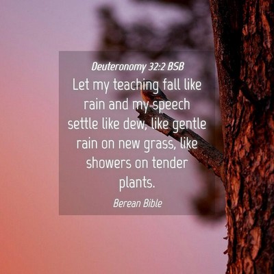 Picture 04 - Deuteronomy 32:2 BSB - Let my teaching fall like rain and my speech - Bible Verse Picture