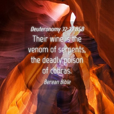 Picture 04 - Deuteronomy 32:33 BSB - Their wine is the venom of serpents, the deadly - Bible Verse Picture