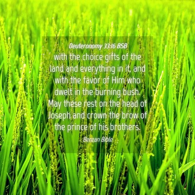 Picture 04 - Deuteronomy 33:16 BSB - with the choice gifts of the land and everything - Bible Verse Picture