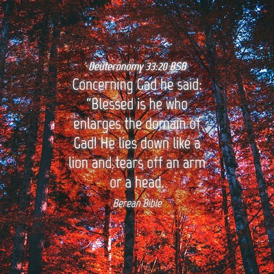 Picture 04 - Deuteronomy 33:20 BSB - Concerning Gad he said: “Blessed is he who - Bible Verse Picture