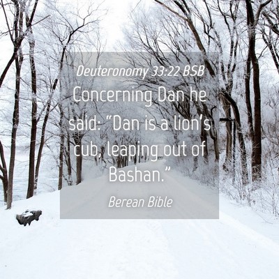 Picture 04 - Deuteronomy 33:22 BSB - Concerning Dan he said: “Dan is a lion’s cub, - Bible Verse Picture