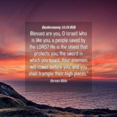 Picture 04 - Deuteronomy 33:29 BSB - Blessed are you, O Israel! Who is like you, a - Bible Verse Picture
