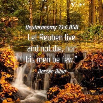 Picture 04 - Deuteronomy 33:6 BSB - Let Reuben live and not die, nor his men be - Bible Verse Picture