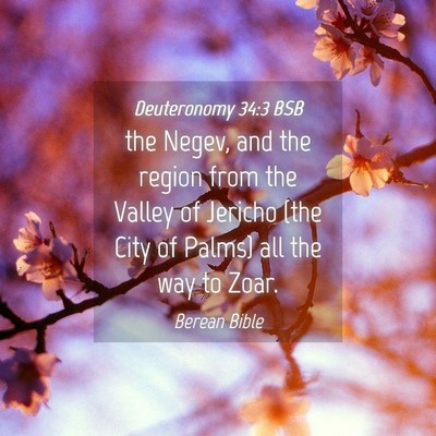 Picture 04 - Deuteronomy 34:3 BSB - the Negev, and the region from the Valley of - Bible Verse Picture