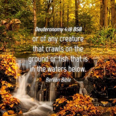 Picture 04 - Deuteronomy 4:18 BSB - or of any creature that crawls on the ground or - Bible Verse Picture