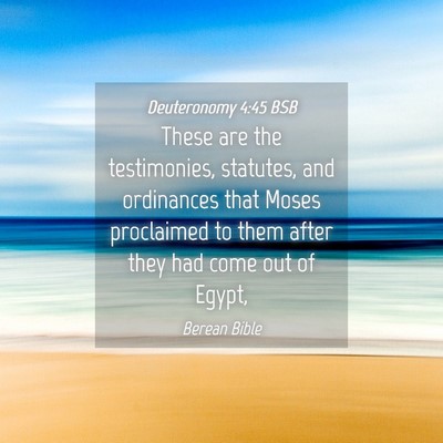 Picture 04 - Deuteronomy 4:45 BSB - These are the testimonies, statutes, and - Bible Verse Picture
