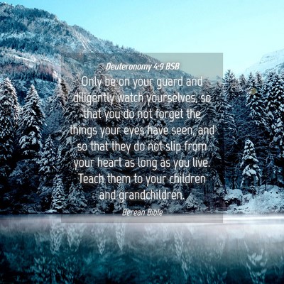Picture 04 - Deuteronomy 4:9 BSB - Only be on your guard and diligently watch - Bible Verse Picture