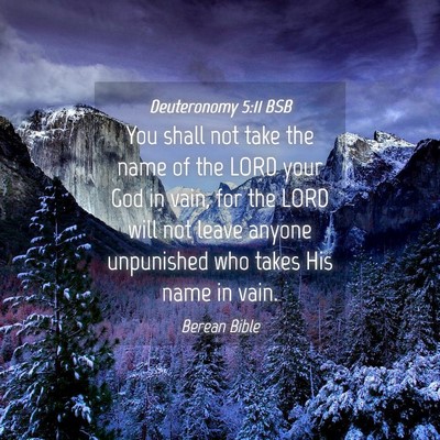 Picture 04 - Deuteronomy 5:11 BSB - You shall not take the name of the LORD your God - Bible Verse Picture